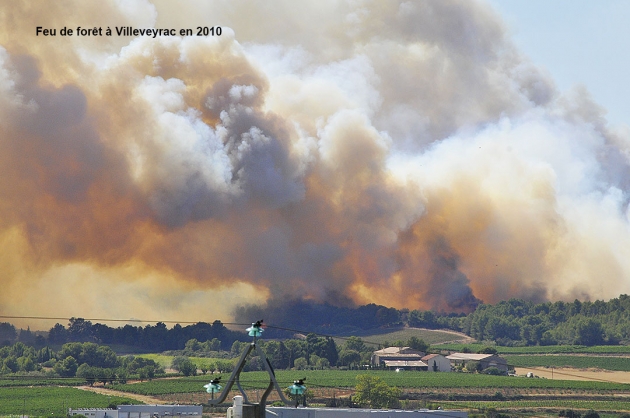 Feu de foret