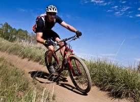 Ronde VTT des Vendanges