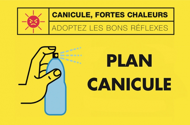 Actu canicule