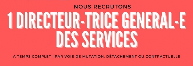 Annonce-dgs-03 Annonce-dgs-03