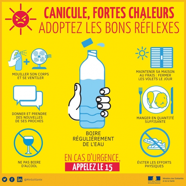 Conseils canicule