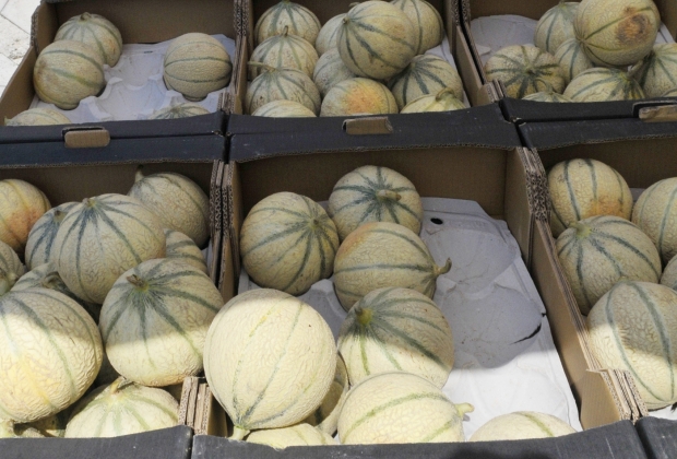 Melons-marché